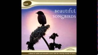Burung Penyanyi Yang Indah, Suara Alam