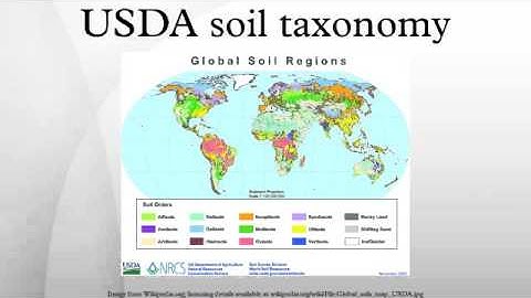 USDA soil taxonomy