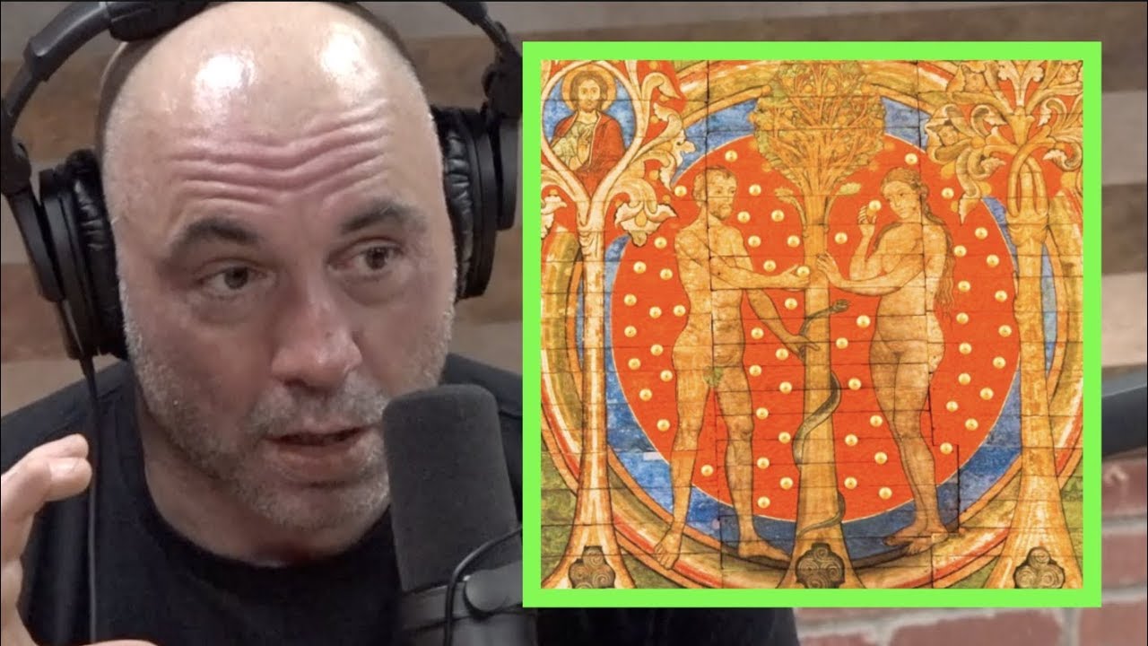 ⁣Joe Rogan | The Link Between Religion and Psychedelics