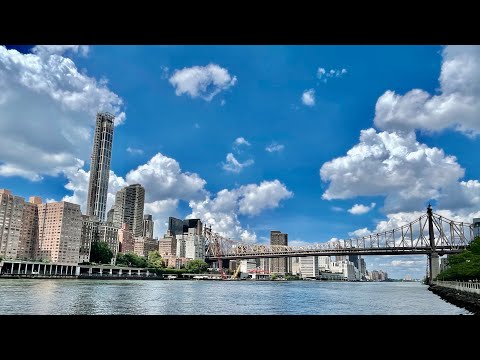 Vídeo: Cider Week Em Nova York - Matador Network