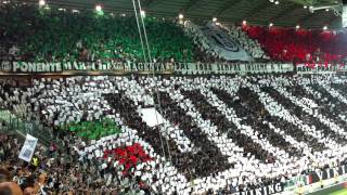 Juventus Stadium Storia di un grande amore