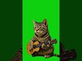 Cat Playing Guitar - Green Screen Meme!  #greenscreen #foryou #catmeme