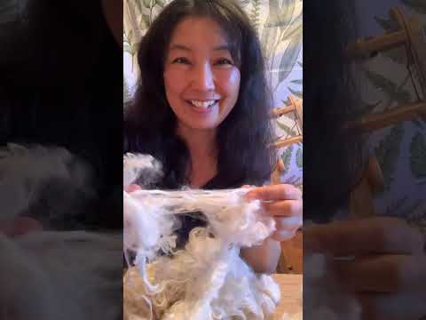 Suri Alpaca Fiber