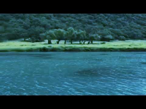 نشيد رائع صلى الله عليك يا خير الورى