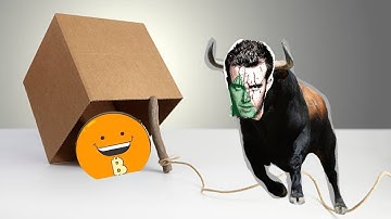 Bull Trap Incoming In Bitcoin!