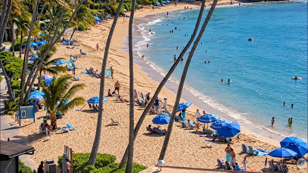 Napili Bay