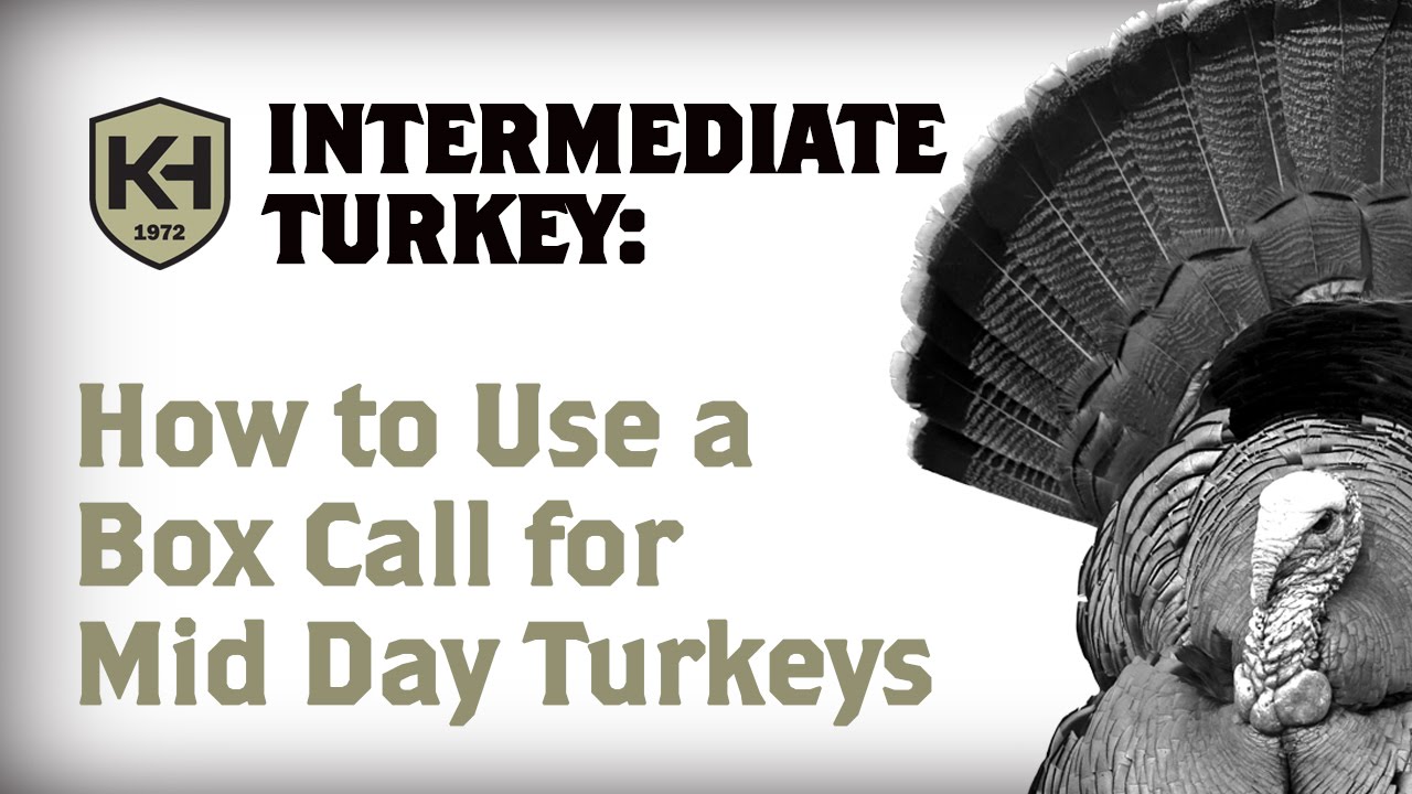 Using a Box Call For Mid Day Turkeys Knight & Hale Instructional