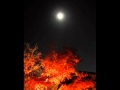 月の雨(真咲ようこ)/唄manatan/演奏AMIさん