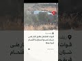 قوات الاحتلال تطلق النار على شبان في قرية جملة بدرعا