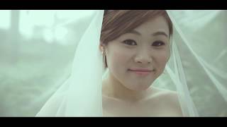 Z Wedding Actual Day Highlight