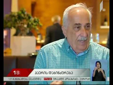 „ეკოხედვის“ კვლევა