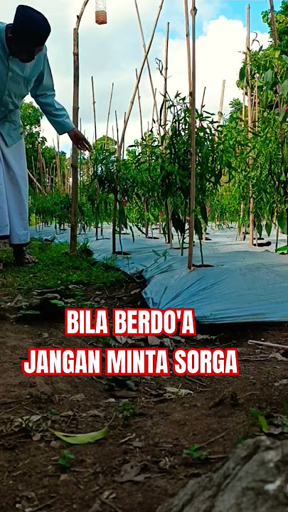 BILA BERDO'A JANGAN MINTA SORGA #shorts