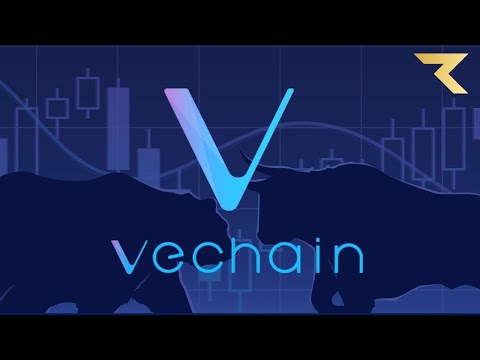 VECHAIN: Membawa Bisnis Global kepada Blockchain | Indonesia