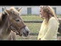 Laura stinchfield the pet psychic  talks with jenny the rescued mule