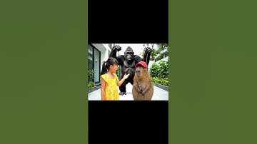 Mua xe đạp thôi mà Capy lại mang cả quái vật về nhà 🦍😅#capybara #vuive #ongbavaboss #giaitri