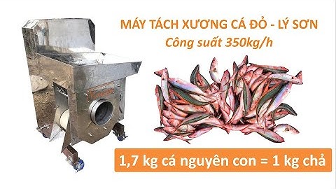 Máy tách xương Cá Đỏ - Lý Sơn