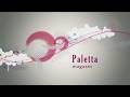 Paletta magazin