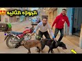 واخيرا الجوازه التانيه لتأكيد الحمل ومش هتصدق حصل ايه تاني