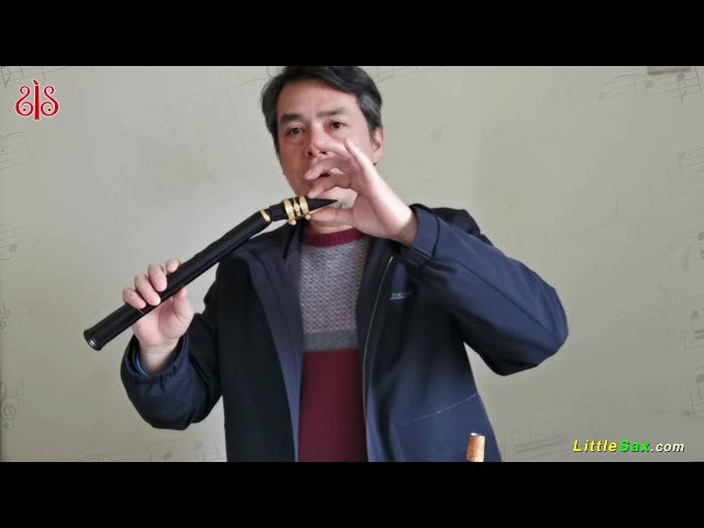 8 hole LittleSax - Simple Saxophone, Mini Pocket Sax/Xaphoon/Tupian/Bamboo/  