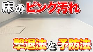 【もう悩まない】お風呂の床のピンク汚れをスッキリ落とす方法とおすすめ予防法！