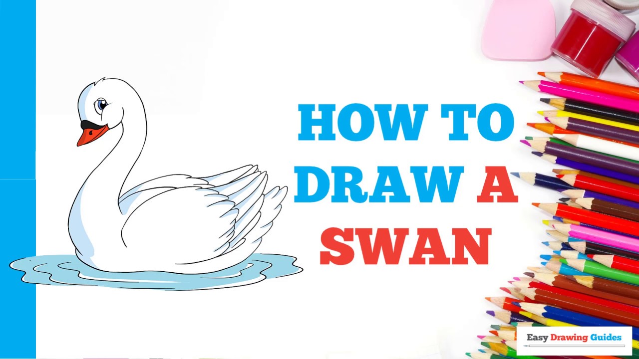 How to Draw a Swan in a Few Easy Steps: Drawing Tutorial for Beginner ...