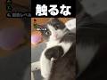 Don't touch ネッコ