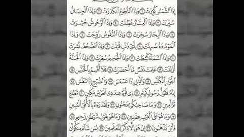 سورة التكوير بصوت القارئ فيراز يعقوب