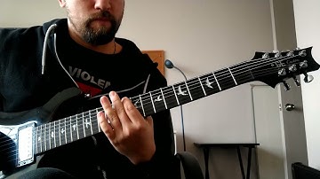 PRS SE Custom 24 7 string