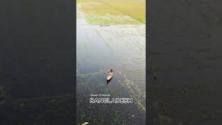 বৃষ্টির পানিতে মাছ ধরার চেষ্টা !!#Shorts #YouTubeShorts #Viral #automobile #copyrightlaw