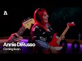 Annie dirusso  coming soon  audiotree live