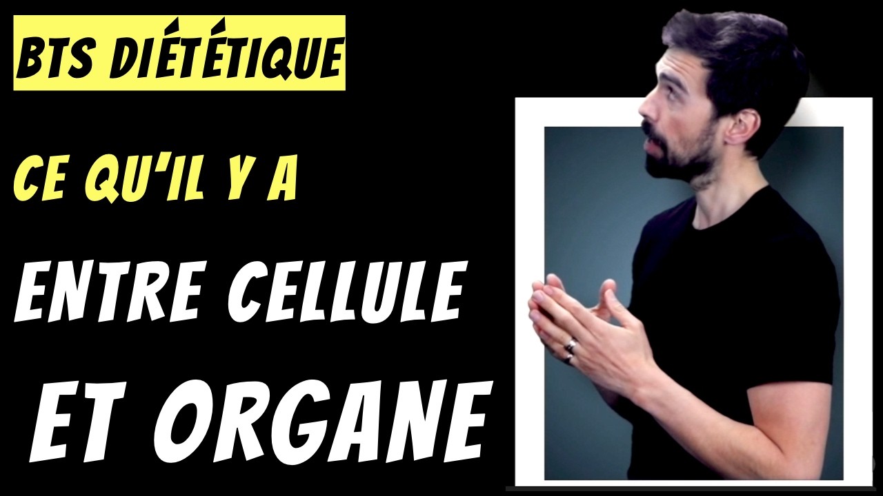 Miniature de la vidéo : BTS DIÉTÉTIQUE | Histologie : les 4 tissus du corps humain