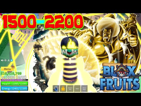 Buddha Fruit USER Level 700 to1500 (UPDATE 17 Blox Fruits) NOOB TO