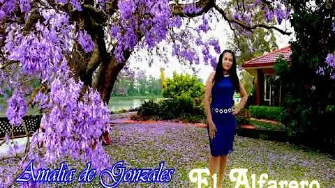 El Alfarero  Amalia De Gonzlez vol.1