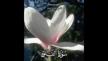 سورة الفلق | الشيخ فارس عباد،  استغفر  الله العظيم واتوب اليه .. حالات واتساب