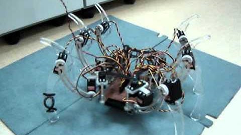 FEI - Hexapod Walking Robot