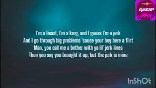 YOU ARE A JERK - NEW BOYZ (LYRICS)