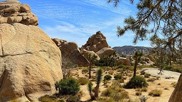 A Visit To Joshua Tree National Park