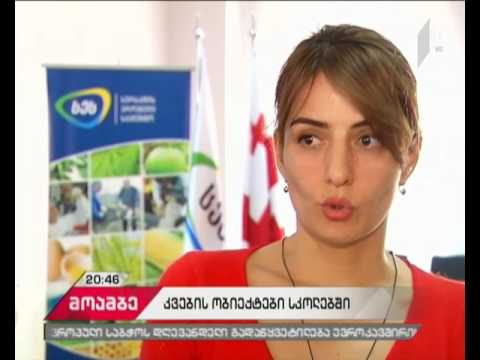 საკვები პროდუქტების კონტროლი სკოლებში - რა ცვლილებებზე საუბრობს განათლების მინისტრი