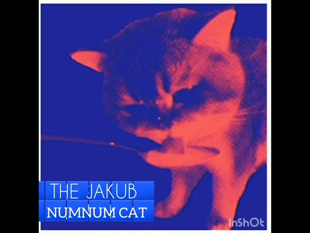 THE JAKUB NUMNUM CAT(made by Kiffness) class=