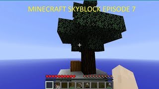 Minecraft Skyblock 3.06 Ep 7 - Going to the Pine Island
In this episode of my Minecraft Skyblock 3.06 series, I go to the taiga island. Sadly the tree did not give me any saplings, which is eerily reminiscent of what happened in the first episode. Leave a like if you enjoyed! :) Minecraft Skyblock 3.06 Ep 7 - Going to the Pine Island