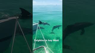 23 De Novembro De 2023