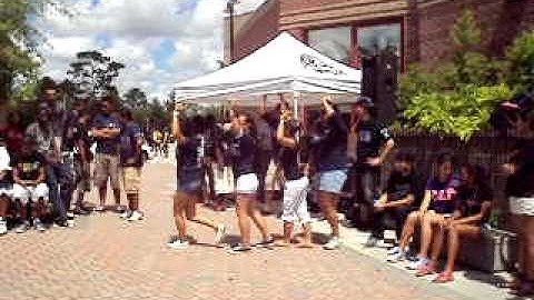 Epsilon Chapter of Delta Phi Lambda performing at DGC Yard Show 2010