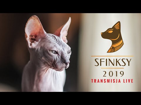 ptaki ciernistych krzewów cda Gala Pierwszego w Polsce Plebiscytu Na Najlepsze Produkty Dla Kotów!