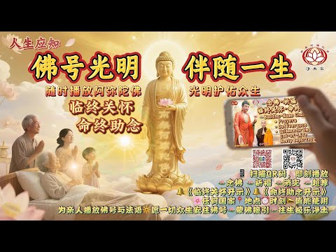 【使用解说】《临终关怀》和《命终助念》开示｜净平法师༄净土宗 Pure Land Buddhism