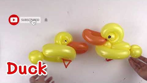 How to make a balloon rubber duck