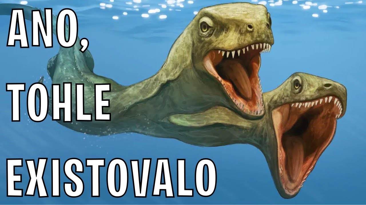 Nejvzácnější z Nejvzácnějších Nalezených Fosilií