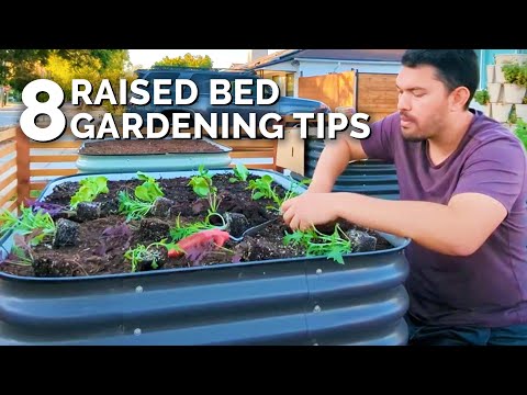8 Of My BEST Raised Bed Gardening Tips