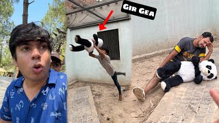 Panda Ko Kia Ho Gea Very Sad