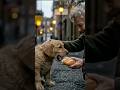 Puppy Finds a New Family😱 #shorts #viral #emotional