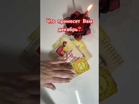 25 ноября 2023 г.